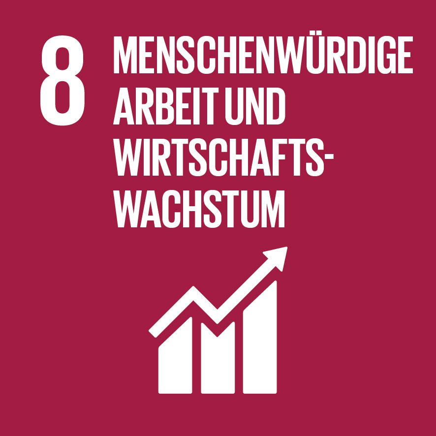 Sustainable Development Goals 8, Menschenwürdige Arbeit und Wirtschaftswachstum