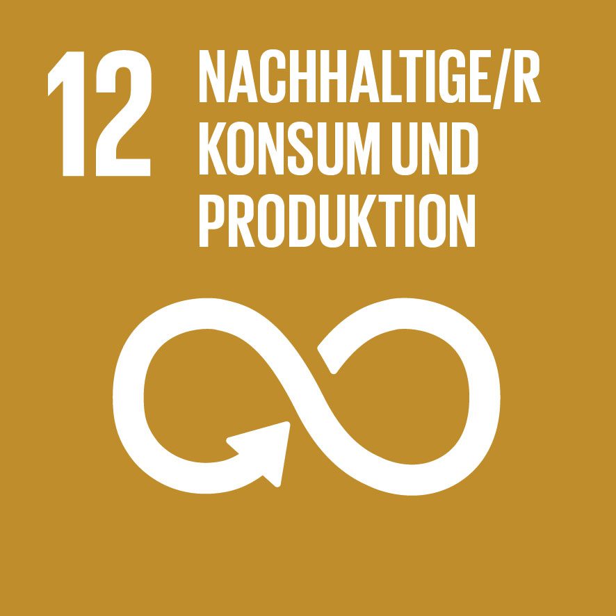 Sustainable Development Goals 12, Nachhaltiger/r Konsum und Produktion