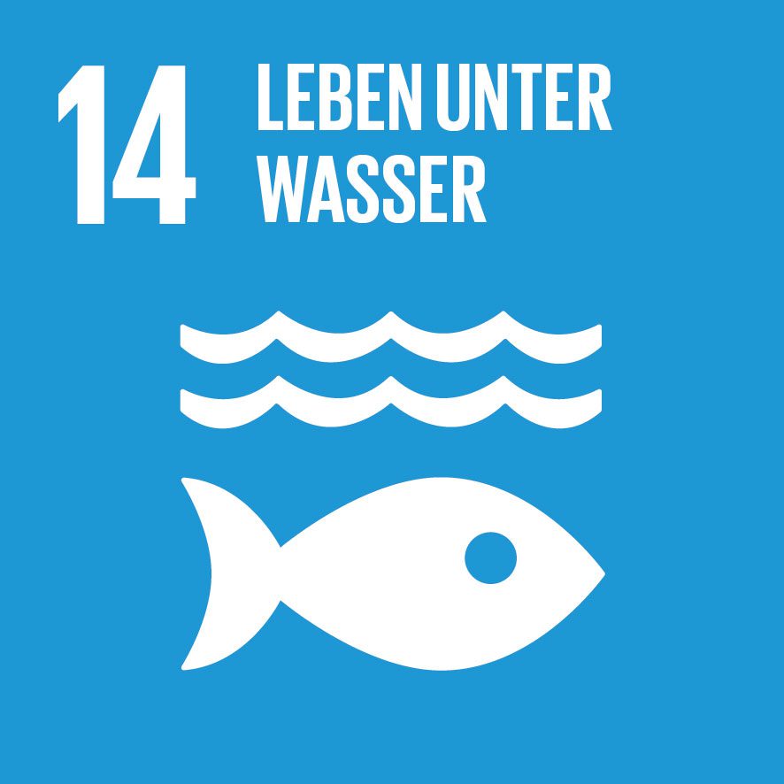 Sustainable Development Goals 14, Leben unter Wasser