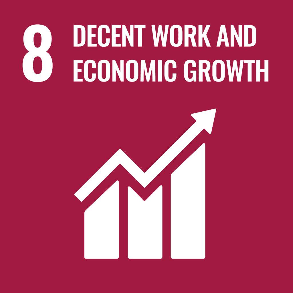 UN Sustainable Development Goals no. 8 decent work & economic growth