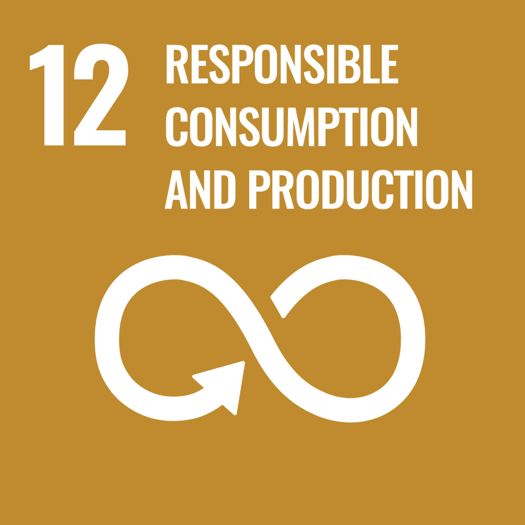 UN Sustainable Development Goals no. 12 responsible consumption and production