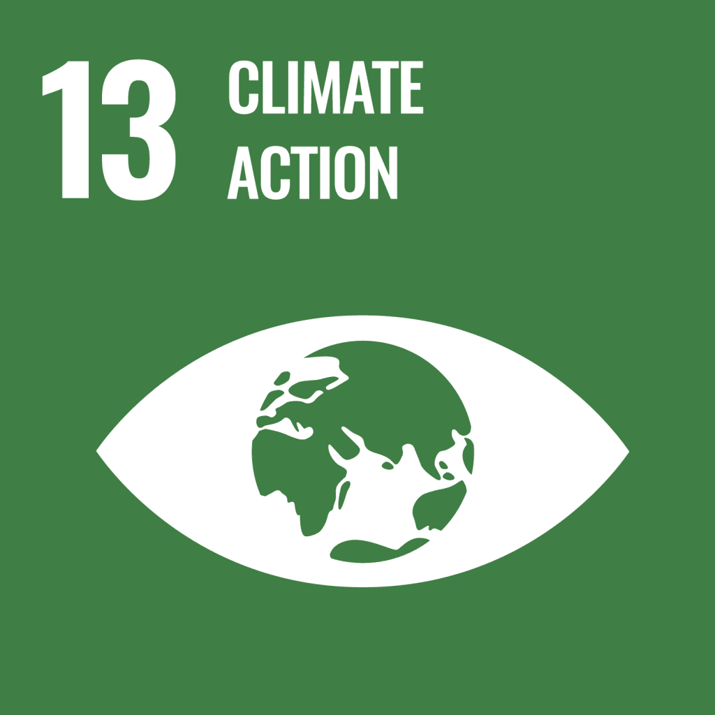 UN Sustainable Development Goals no. 13 climate action