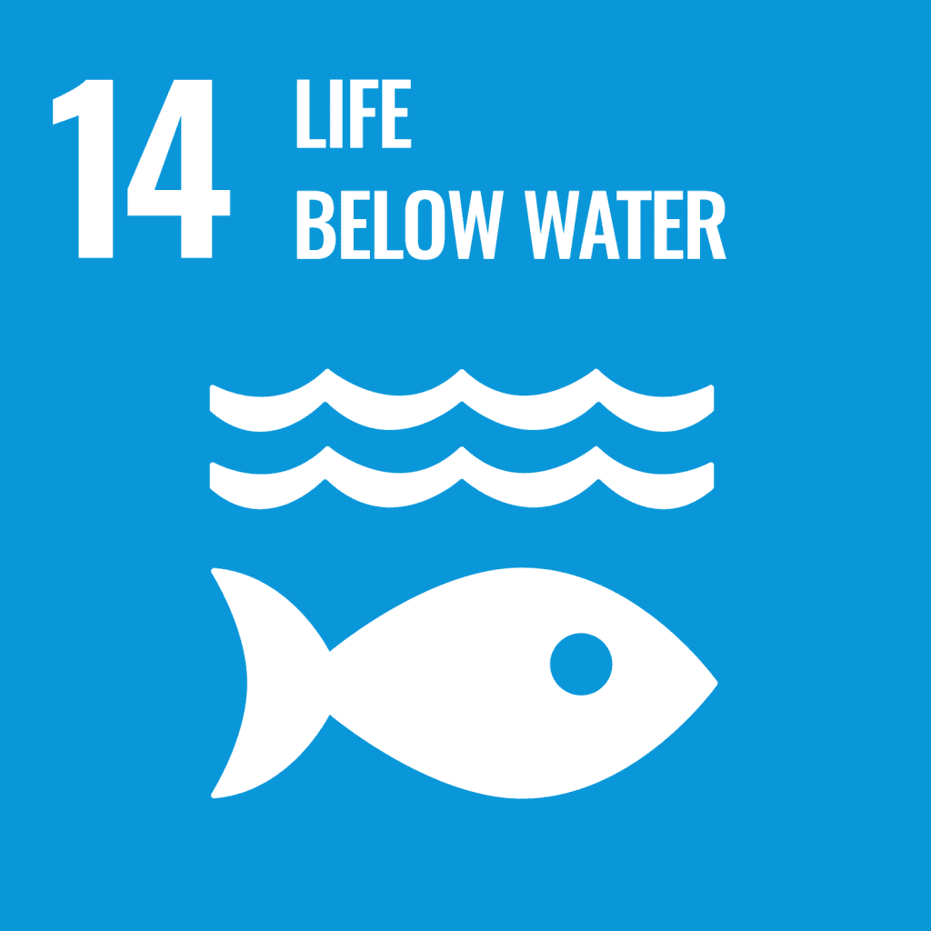 UN Sustainable Development Goals no. 14 life below water