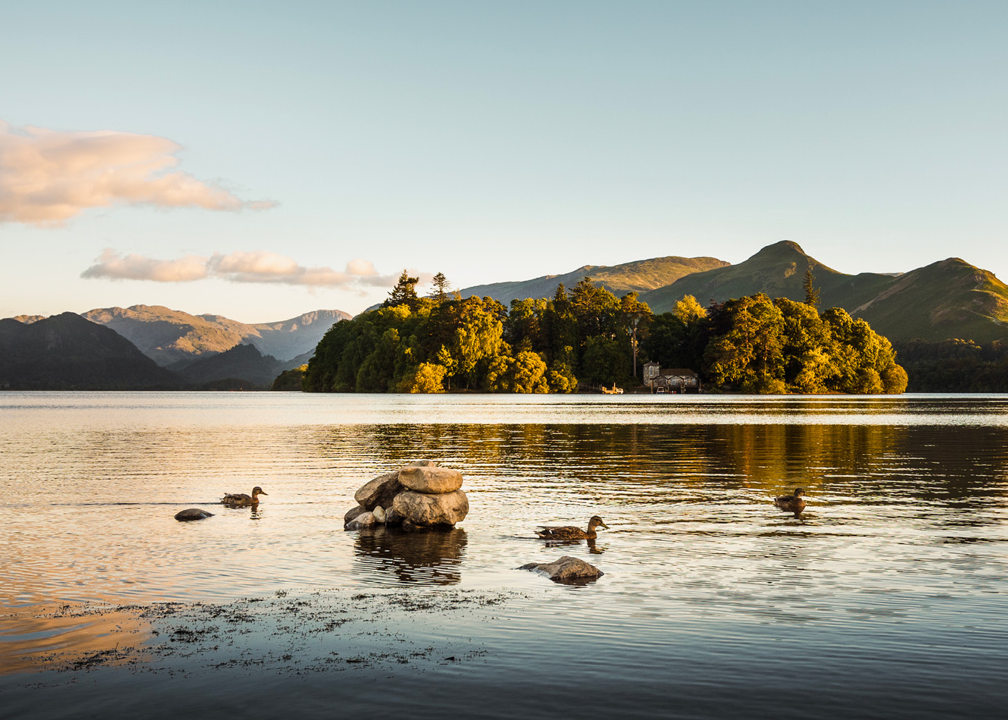 Enten auf eine, See, grüne Hügel und ein Haus auf einer Insel im Hintergrund